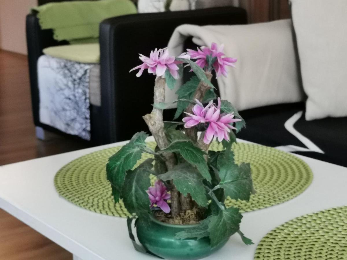 Zoeldlomb Apartman シオーフォク エクステリア 写真